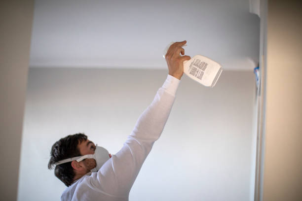 Best Certified Mold Removal  in Louisiana, MO
