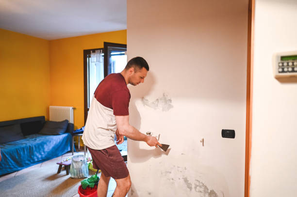 Best Commercial Mold Removal  in Louisiana, MO